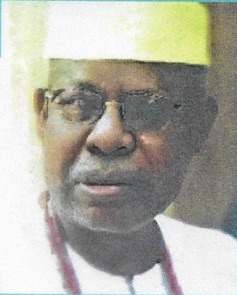 Nzele A. N. Abuah